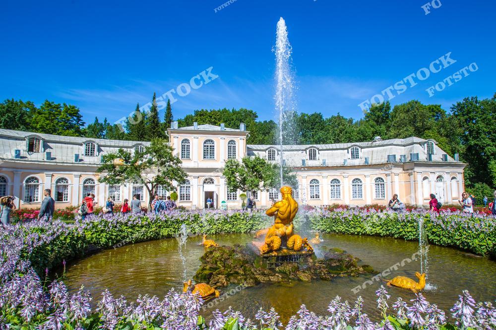 На фотографии изображён Оранжерейный сад в Петергофе с центральным фонтаном. Композиция включает здание Оранжереи, окружённое ухоженными клумбами и цветущими растениями. Фонтан с золотой скульптурой гармонично дополняет садовый ансамбль. Летний солнечный день подчеркивает красоту этого места, любимого туристами и гостями Петергофа.